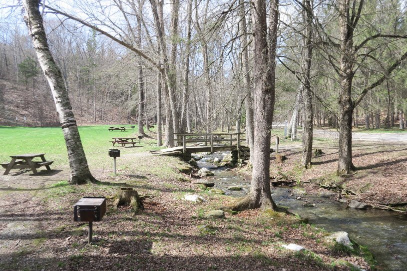 Pittsfield State Forest, Massachusetts, USA